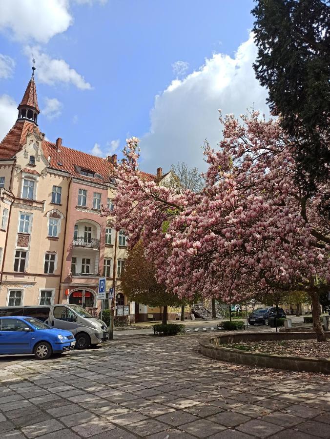 Apartament Rozeta Centrum 6Os Legnica Eksteriør billede